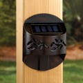 Solar Accent Light / Leaf