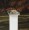 (sunflower- white trim)