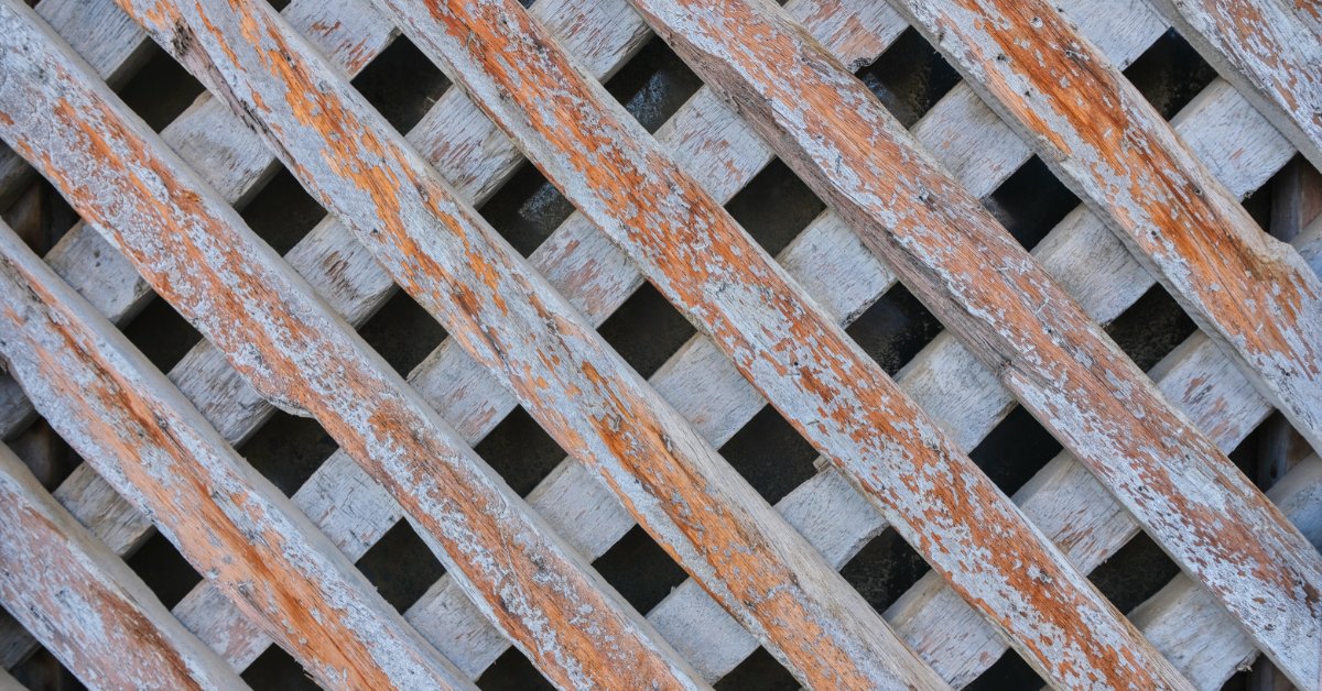 A weathered wooden lattice panel with peeling white paint, orange wood, and diagonal slats crossing over square gaps.