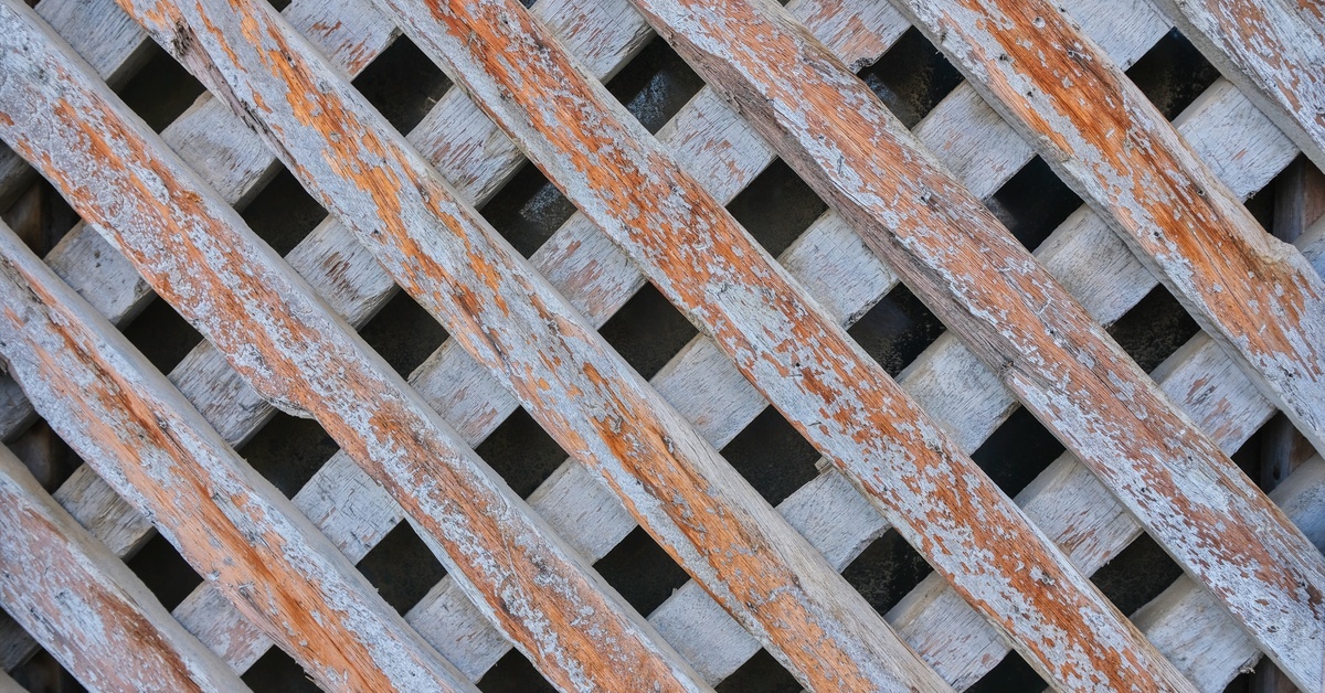 A weathered wooden lattice forming repeated geometric openings covers the frame with an aged brown texture.